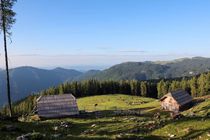 Jutro na planini Podvežak | Foto: Matej Podgoršek