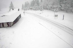 Slovenijo je pobelil sneg #foto #video