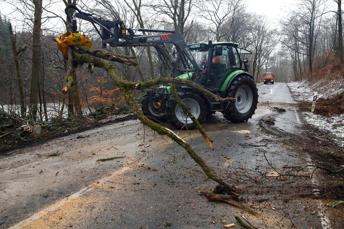 neurje cesta podrta drevesa delo na cesti nemčija | Veter je odkril strehe nekaj objektov ter poškodoval električne in telekomunikacijske drogove. (Slika je simbolična.) | Foto Reuters