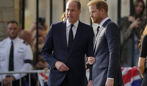 Sporu med bratoma ni videti konca: to bo storil princ William, ko postane kralj