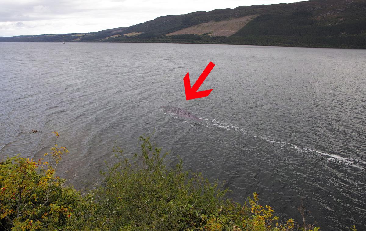 Loch Ness | Foto Steve Challice/Cover Images