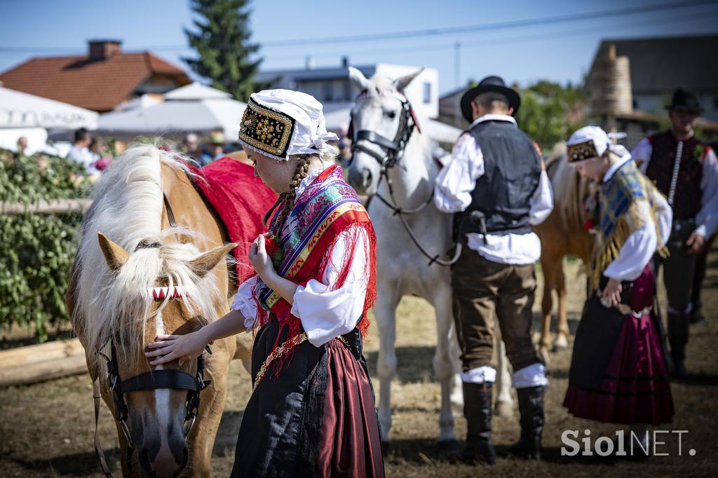 Posavsko štehvanje