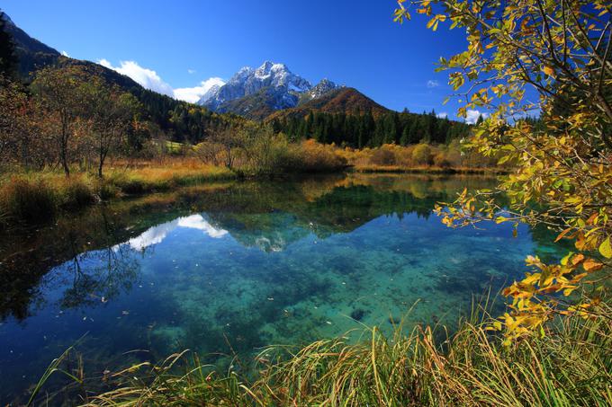 Zelenci | Foto: arhiv SPIRIT Slovenija / Turizem Kranjska Gora