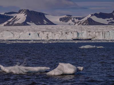 Ledenik na Antarktiki se je rekordno hitro zmanjšal