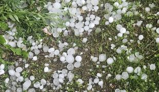 Grozljivi prizori, škoda bo ogromna #video