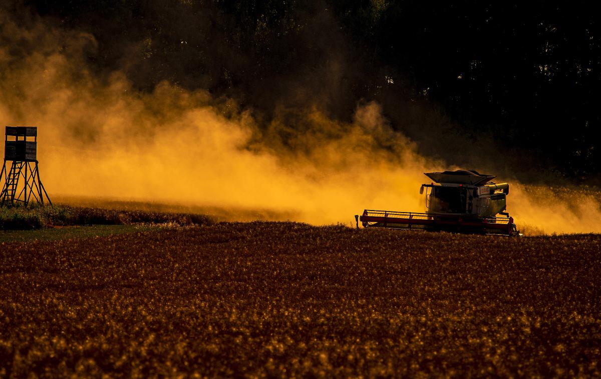 Kombajn, njiva, pšenica | Gospodarski strokovnjaki so napovedovali, da lahko vojna v Ukrajini, ki velja tudi za žitnico sveta, neposredno vpliva na dvig cen hrane v Evropi in na pojav lakote v nekaterih državah v Afriki in na Bližnjem vzhodu, ki velik delež žita uvozijo prav iz Ukrajine. | Foto Guliver Image