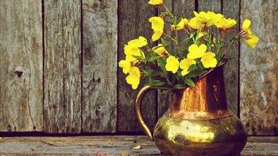 Rumeno-zlate barve pričarajo jesen v domu