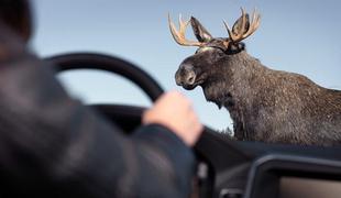 Volvo poslal avtopilota na losov test