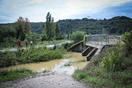 Poplave Dragonja