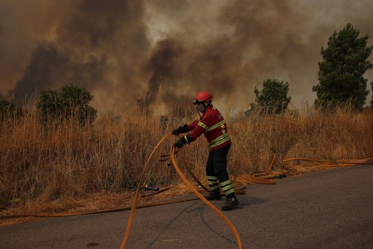 požar, Portugalska | Foto: Reuters