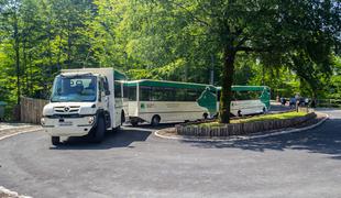 Turistični vlak zletel s ceste in trčil v drevo