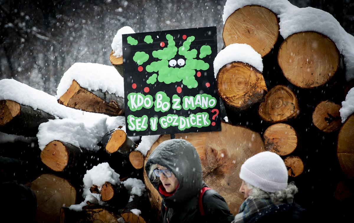 Protest proti sečnji gozda na Rožniku | Foto Ana Kovač