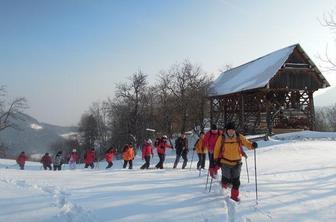 Šport in kultura z roko v roki