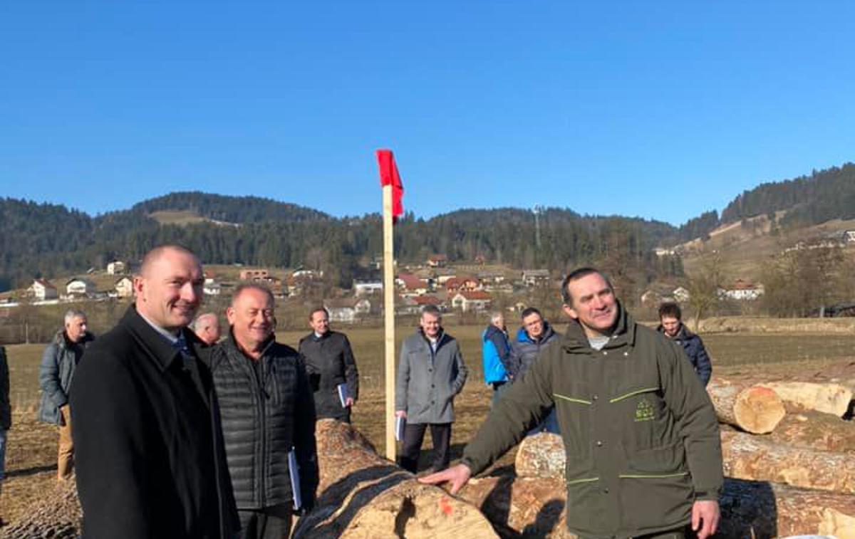 hlod |  Najvišjo ceno je dosegel hlod gorskega javorja rebraša.                        Fotografija je simbolična. | Foto Slovenski državni gozdovi