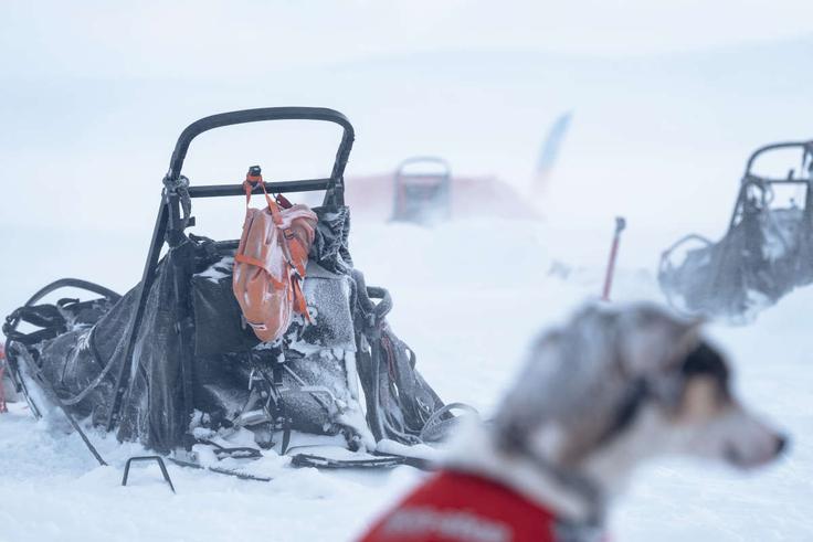 FJR_2025_Polar_207383_1200 | Foto: Fjällräven