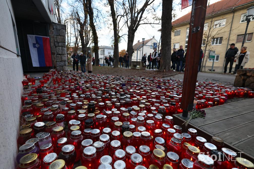 Protestni shod Novo mesto