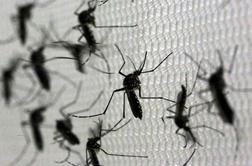 Zaradi mrzlice denga umrlo več kot 40 ljudi