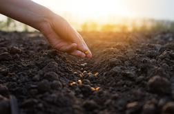 Vrtičkarji odštevajo: marca se začne zares!