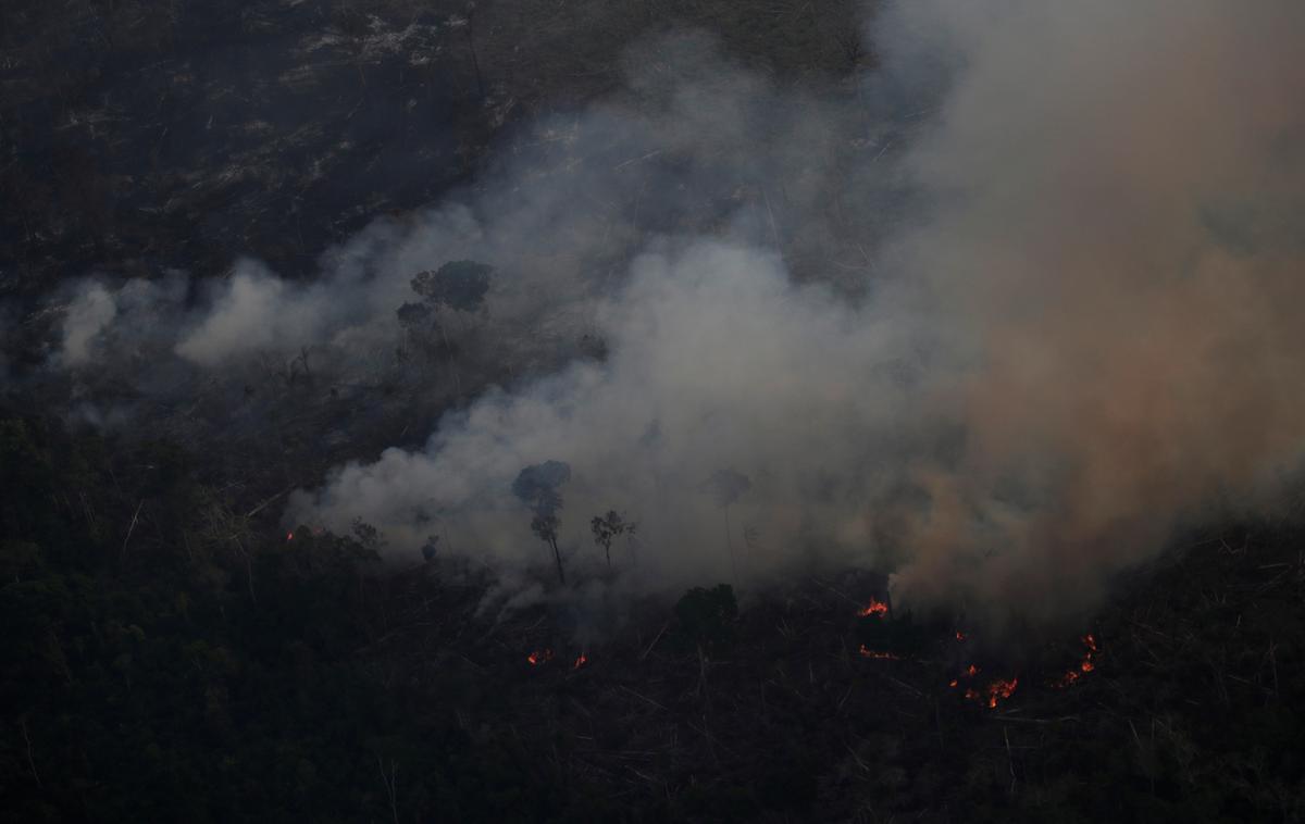 amazonski pragozd | Požari, ki bi morali skrbeti vse ljudi na svetu. | Foto Reuters
