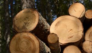 Pri žaganju lesa v Kočevju umrl 68-letnik