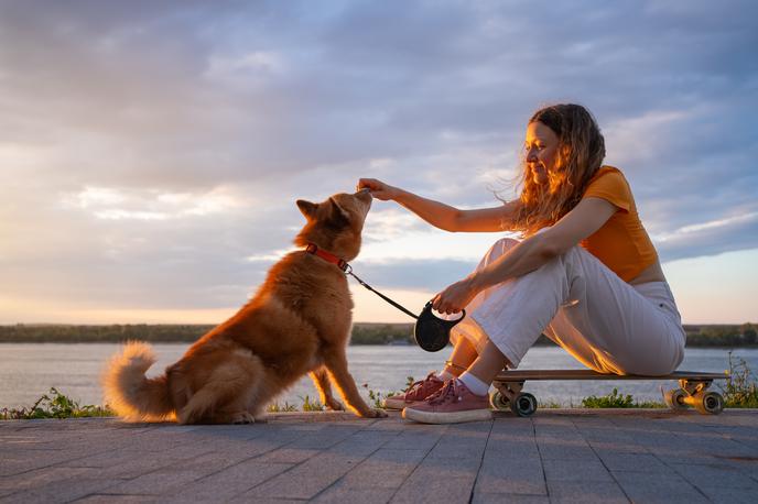 poletje, pes, rolka | Foto Shutterstock