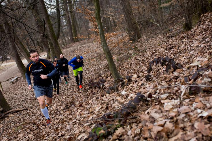 tek trail tekaški test Intersport | Foto: 
