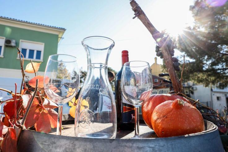 martinovanje Izola | Foto: Arhiv organizatorja