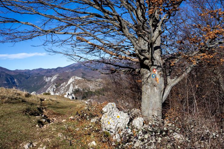 Na tej turi prehodimo le manjši del Poti po robu. | Foto: Matej Podgoršek