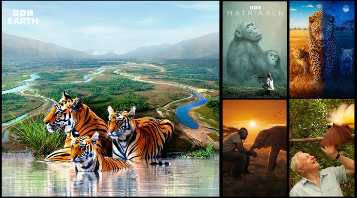 BBC Earth | Foto: BBC