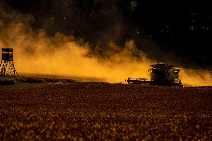 Ruska invazija na Ukrajino in sankcije Zahoda so prekinile dobavo pšenice in drugih surovin iz obeh držav, kar je okrepilo skrbi glede morebitnega pomanjkanja hrane in povečanja lakote v svetu. Rusija in Ukrajina proizvedeta 30 odstotkov svetovne ponudbe pšenice, ki jo večinoma izvozita prek Črnega morja. | Foto: AP / Guliverimage