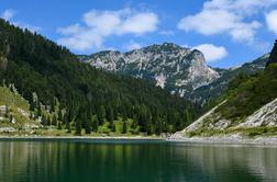 Idilično jezero od blizu in s ptičje perspektive #video