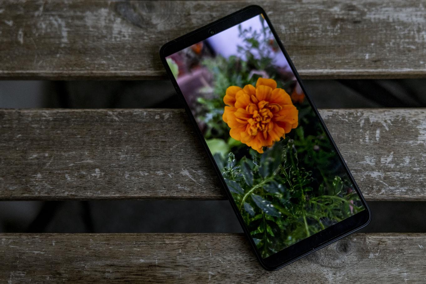 Zaslon AMOLED je pri obeh članih družine Xiaomi 14T enak – diagonala meri 17 centimetrov. | Foto: Ana Kovač