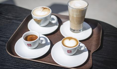 Znate ločiti dobro kavo od pokvarjene? #video