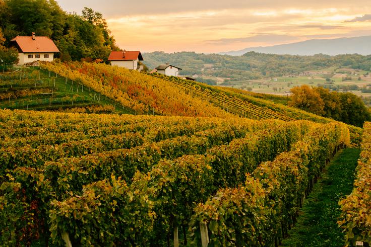 Bizeljsko | Foto: Petra Molan (www.slovenia.info)