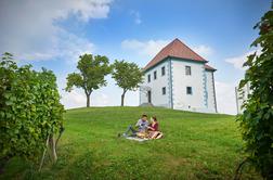 Nagradna igra: razvajanje med vinogradi v dvoje