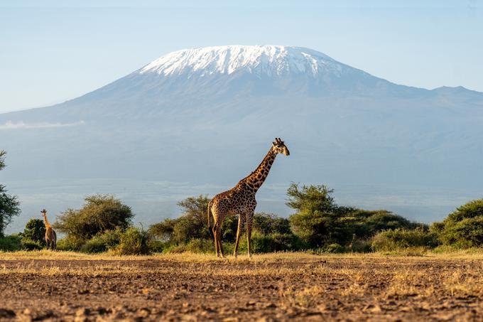 Med 85 destinacijami dolgih poletov družbe Air France v prihajajočem zimskem voznem redu je eden od štirih novincev Kilimandžaro, ki mu je najbližje istoimensko letališče na severu Tanzanije (Kilimanjaro). | Foto: Shutterstock