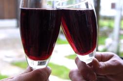 Vinske razprtije: Slovenci nad predstavitev hrvaških vin v Rimu
