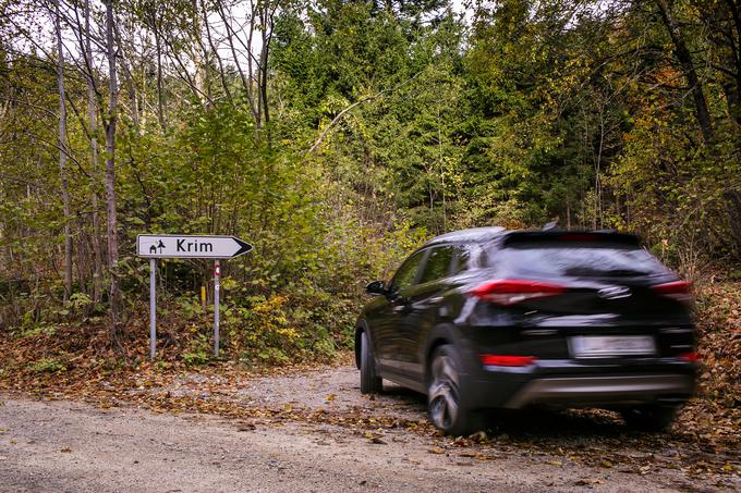 Krim (1110 metrov) se dviguje južno od Ljubljanskega barja. | Foto: Siol.net/ A. P. K.