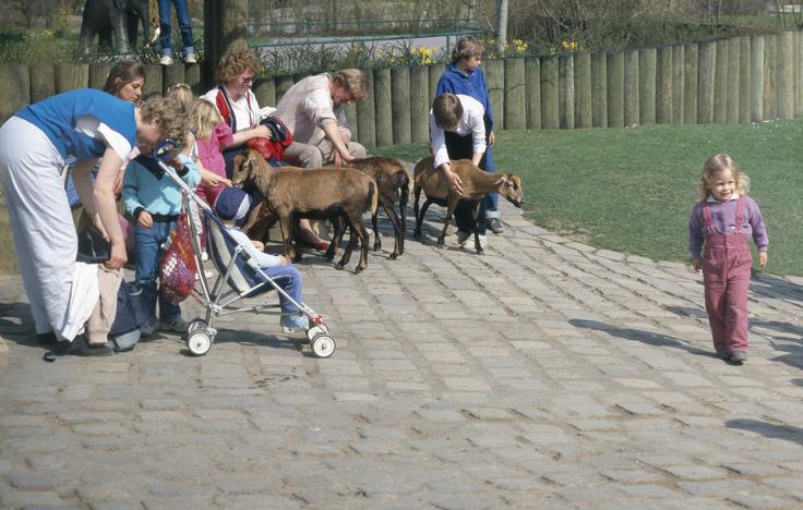 80. leta | Foto: Guliverimage