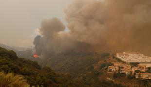 Požar na jugu Španije iz domov pregnal na stotine ljudi #video #foto