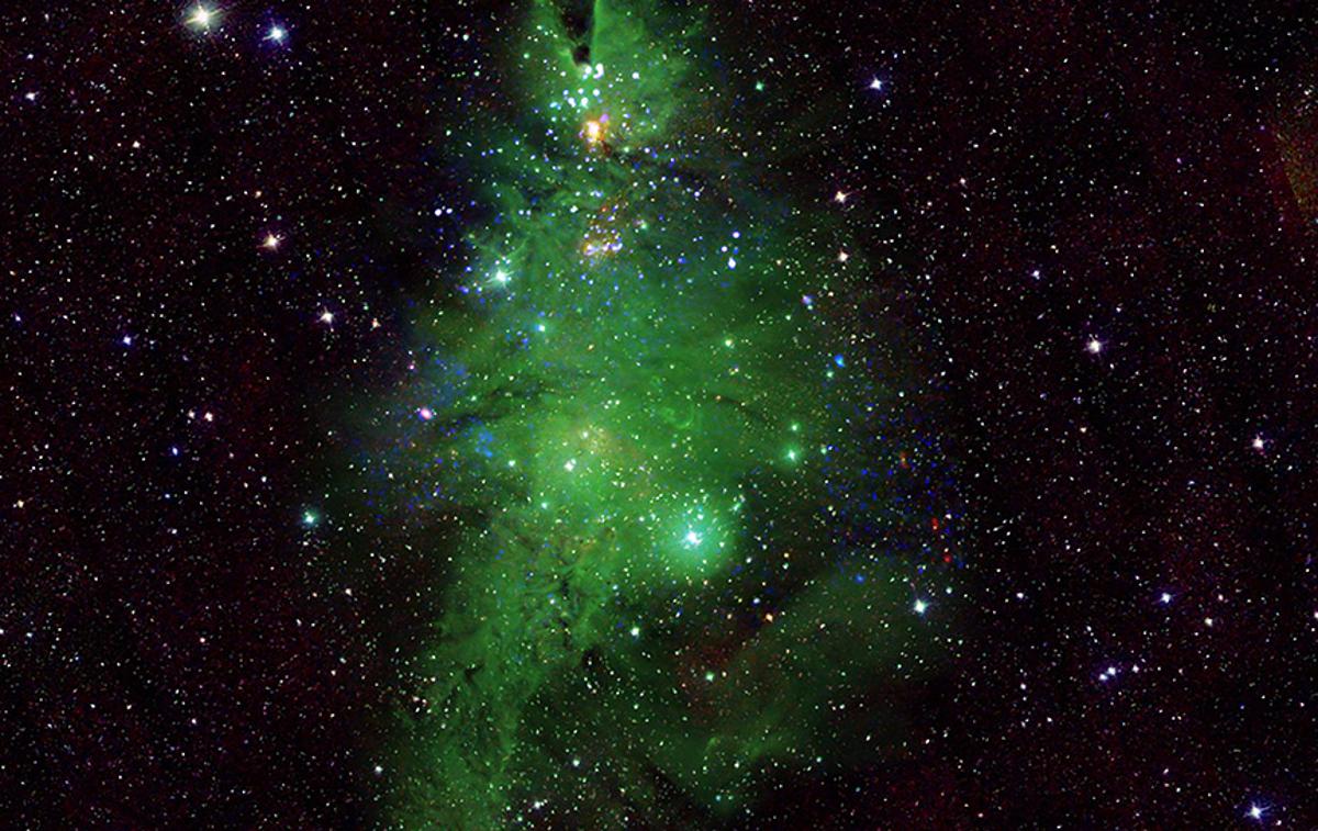 Nasa | Nasina teleskopa sta v objektiv ujela skupino mladih zvezd, ki po barvi in obliki spominjajo na božično drevesce. | Foto Nasa/X