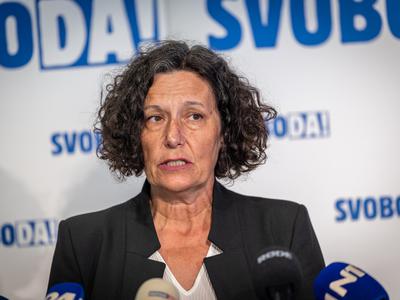 Svoboda: Pot tega zakona ni dokončna