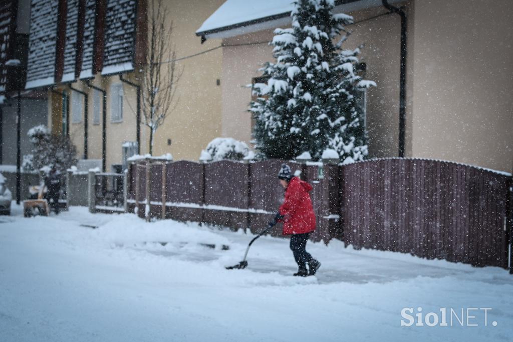 Sneg v Ljubljani