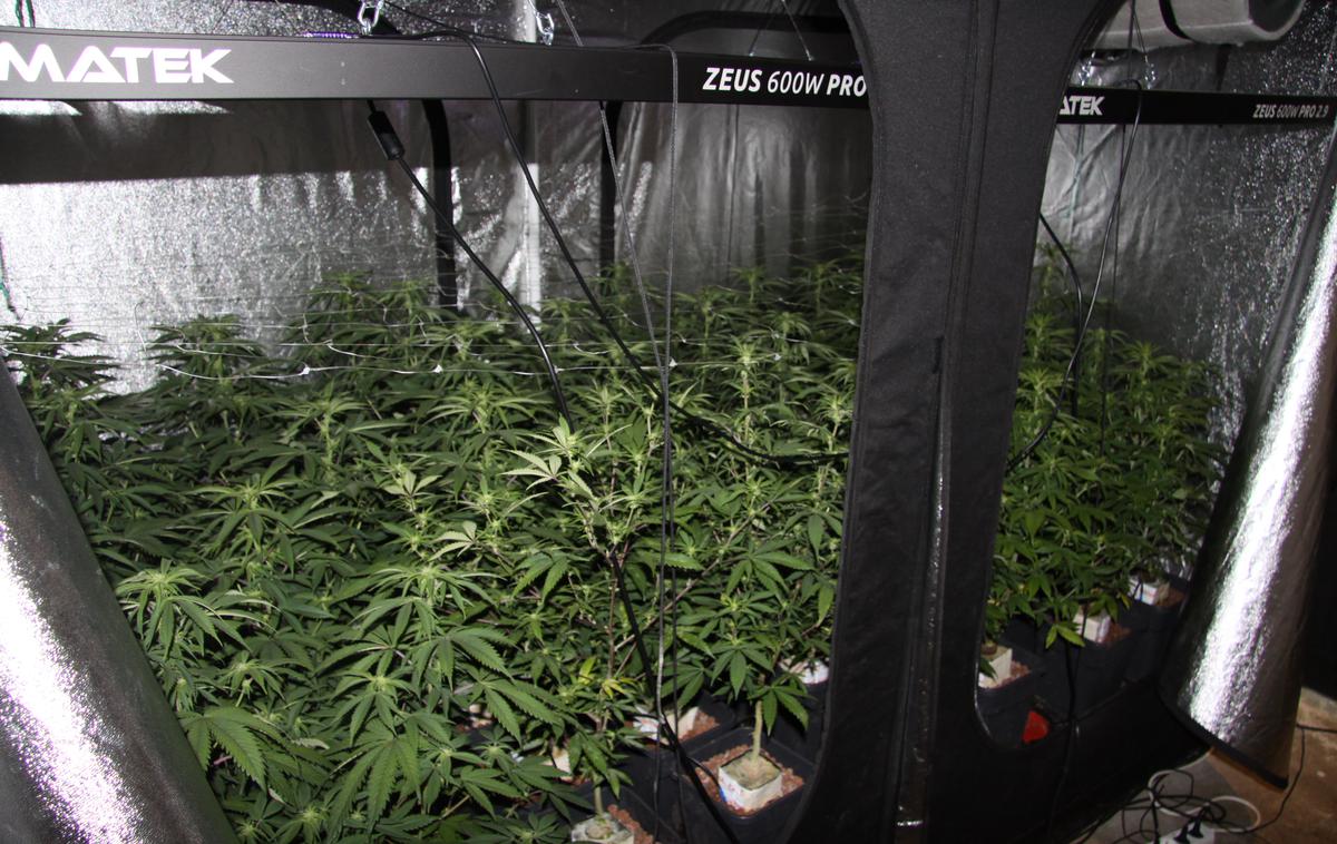 droge, zaseg, Trzin, sadike, pripomočki | Zasežene predmete so policisti zavarovali in jih poslali v nadaljnjo analizo. | Foto PU Ljubljana