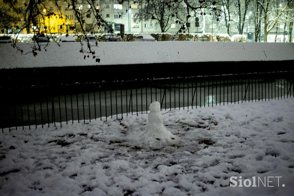 sneg v Ljubljani