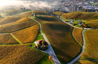 Slovenska Toskana, ki vas bo očarala: vino, razgled in popoln mir med vinogradi #nagradnaigra