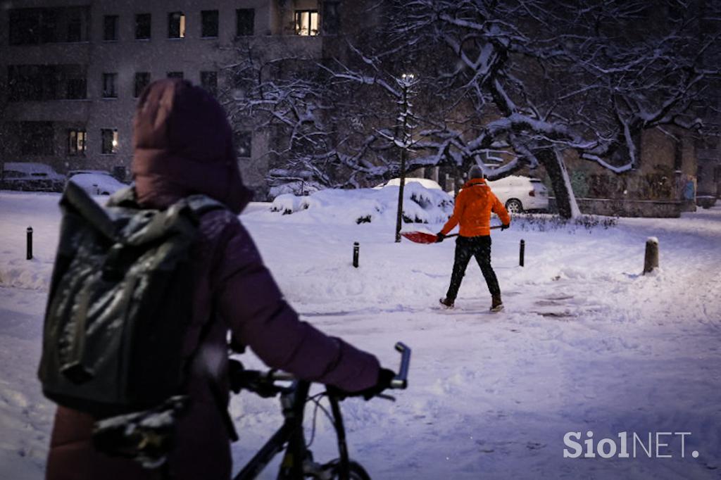 Sneg v Ljubljani