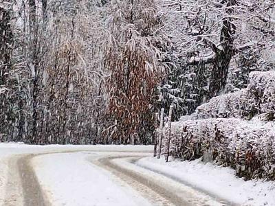 Oblačno z rahlimi padavinami, konec tedna tudi sneg in burja