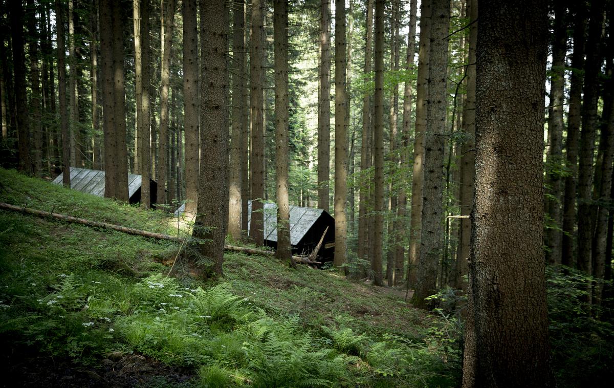 Pohorje | Foto Ana Kovač