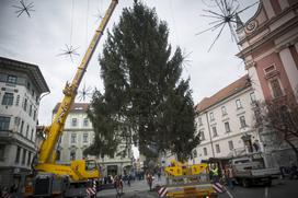 Novoletna smreka v Ljubljani Prešernov trg
